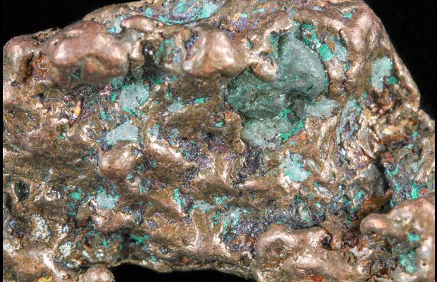 www.FossilEra.com-specimen-254-60805-15