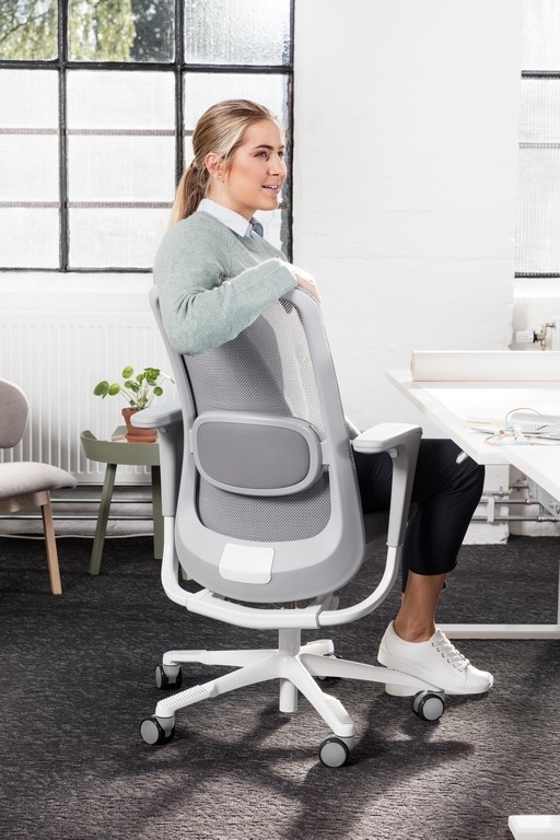 HAG_SoFi_mesh_interior_r_ppt_