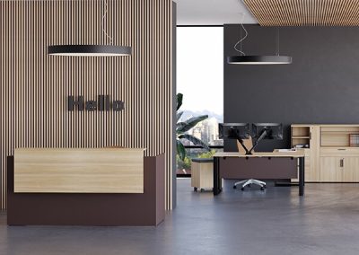 Office Reception Furniture