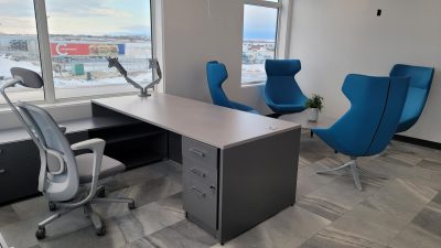 adjustable stand up desk