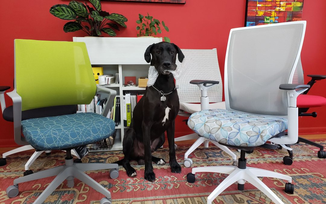 Standup Desk Winnipeg